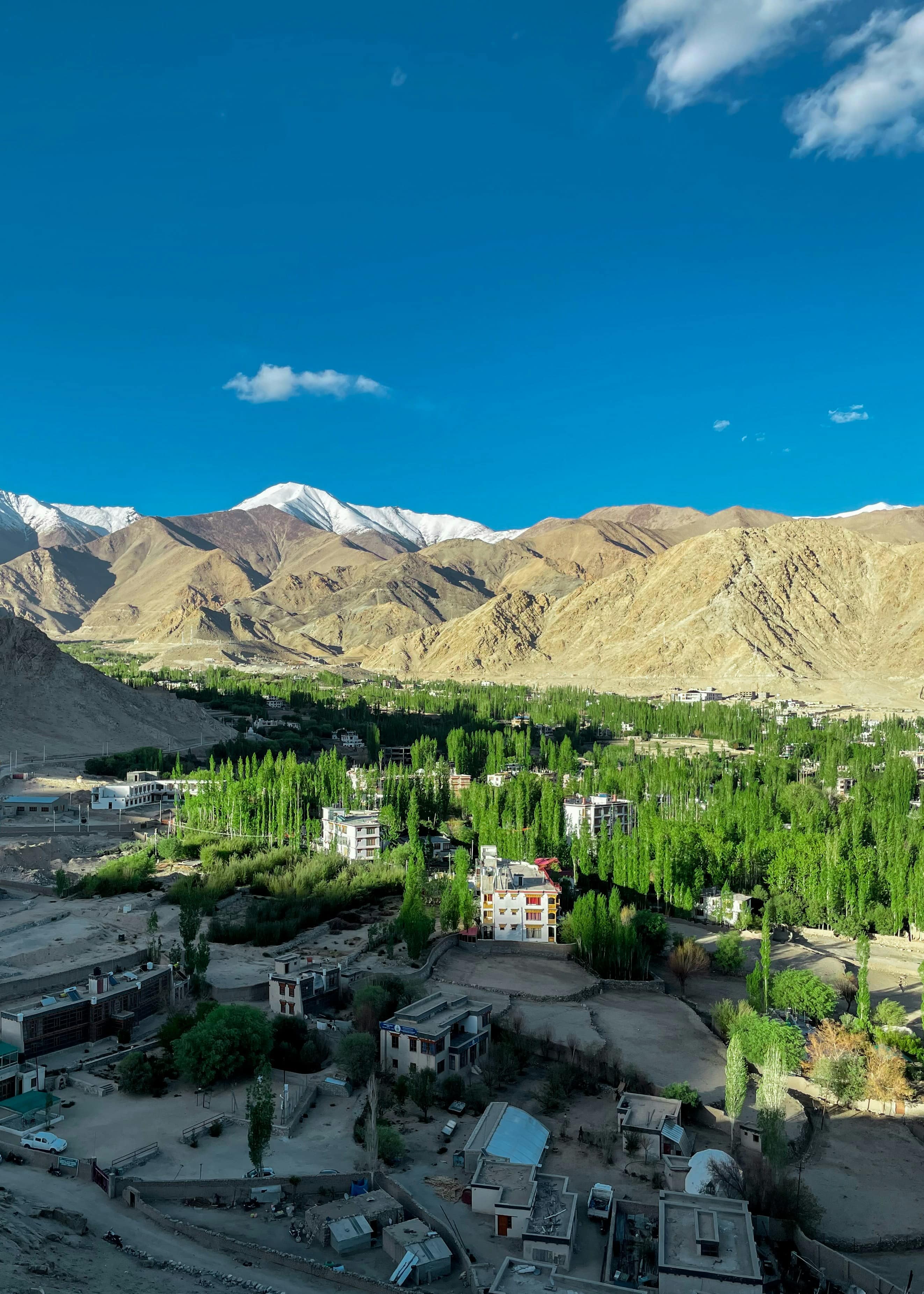 Ladakh Tour