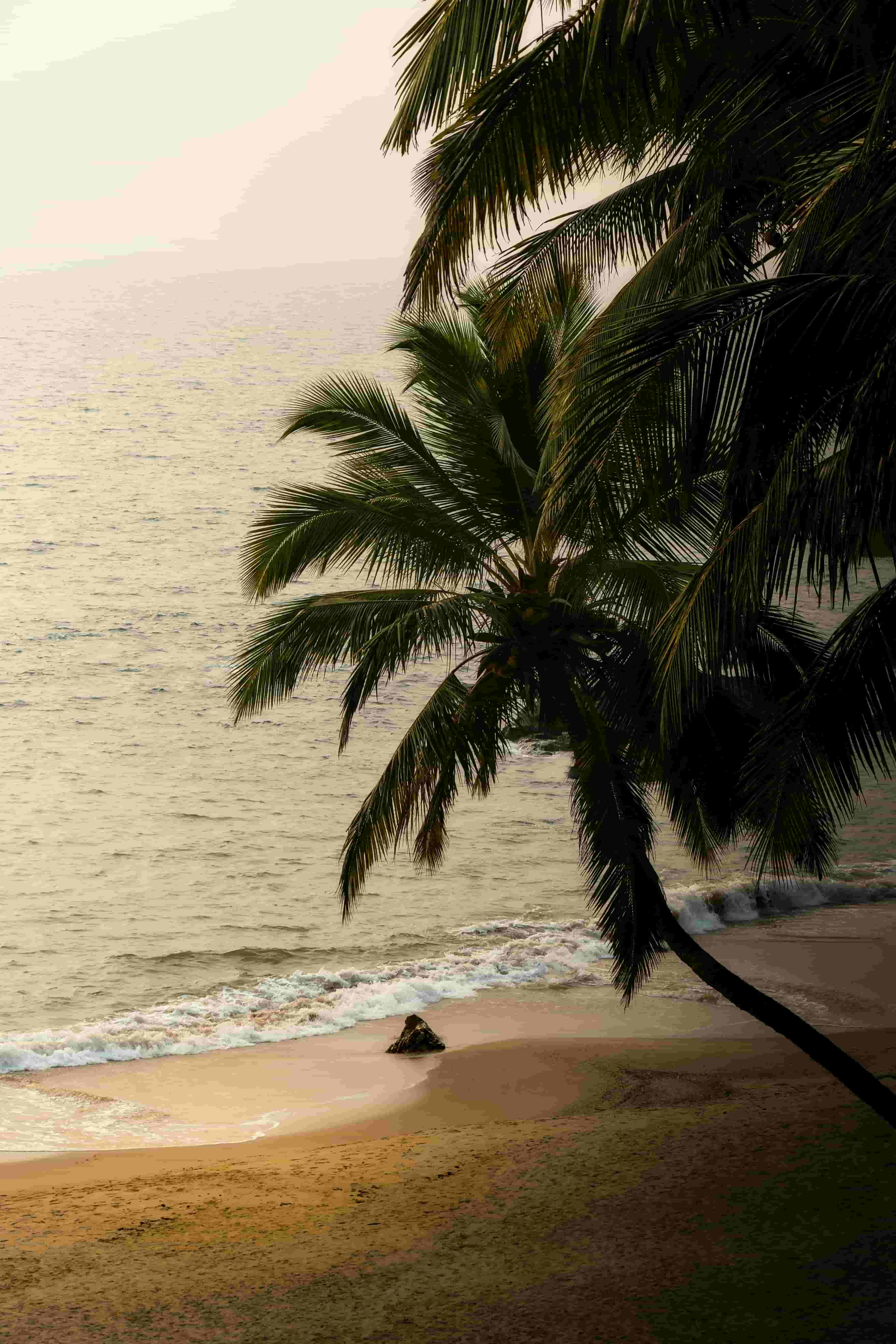 India Tours