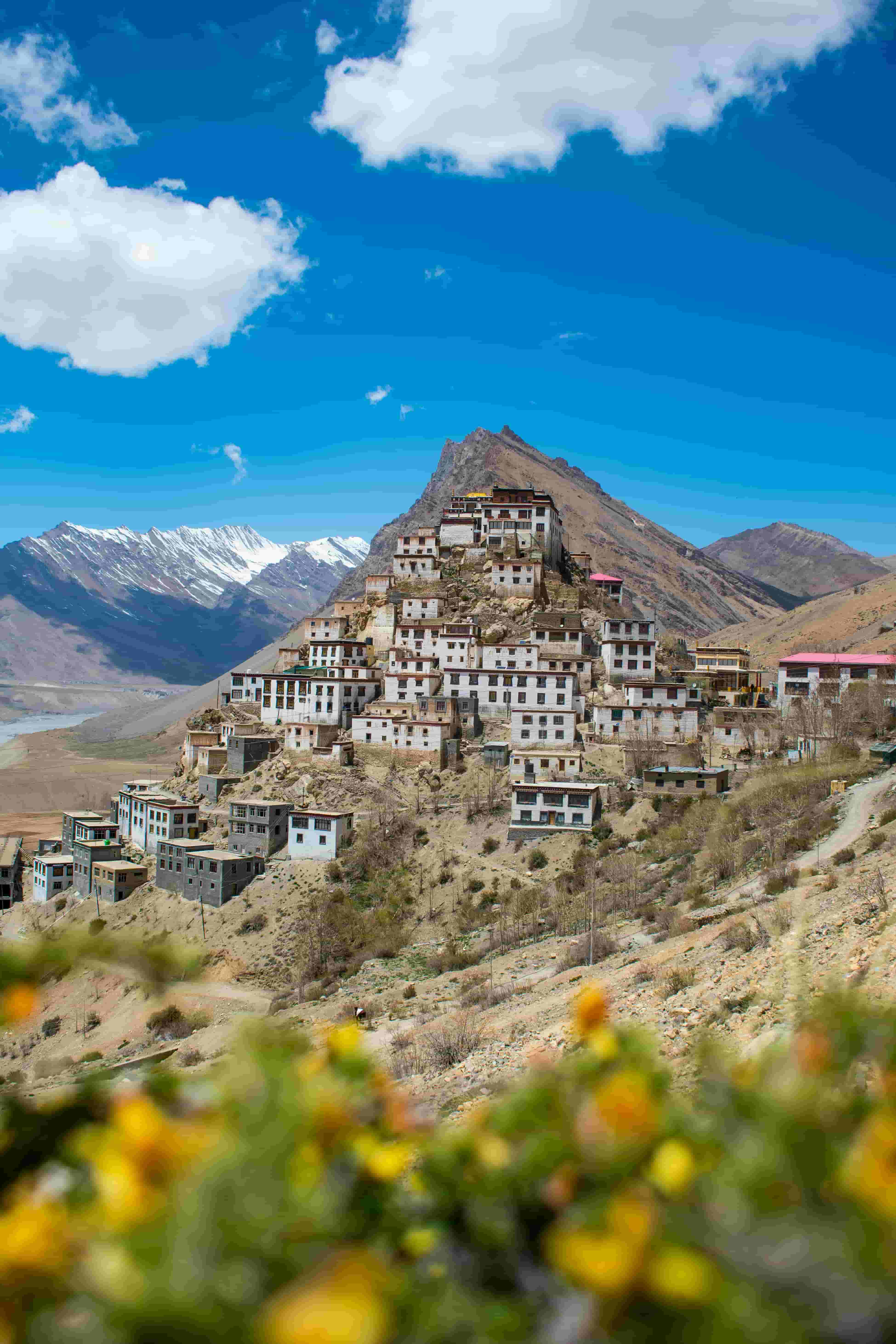 India Tours