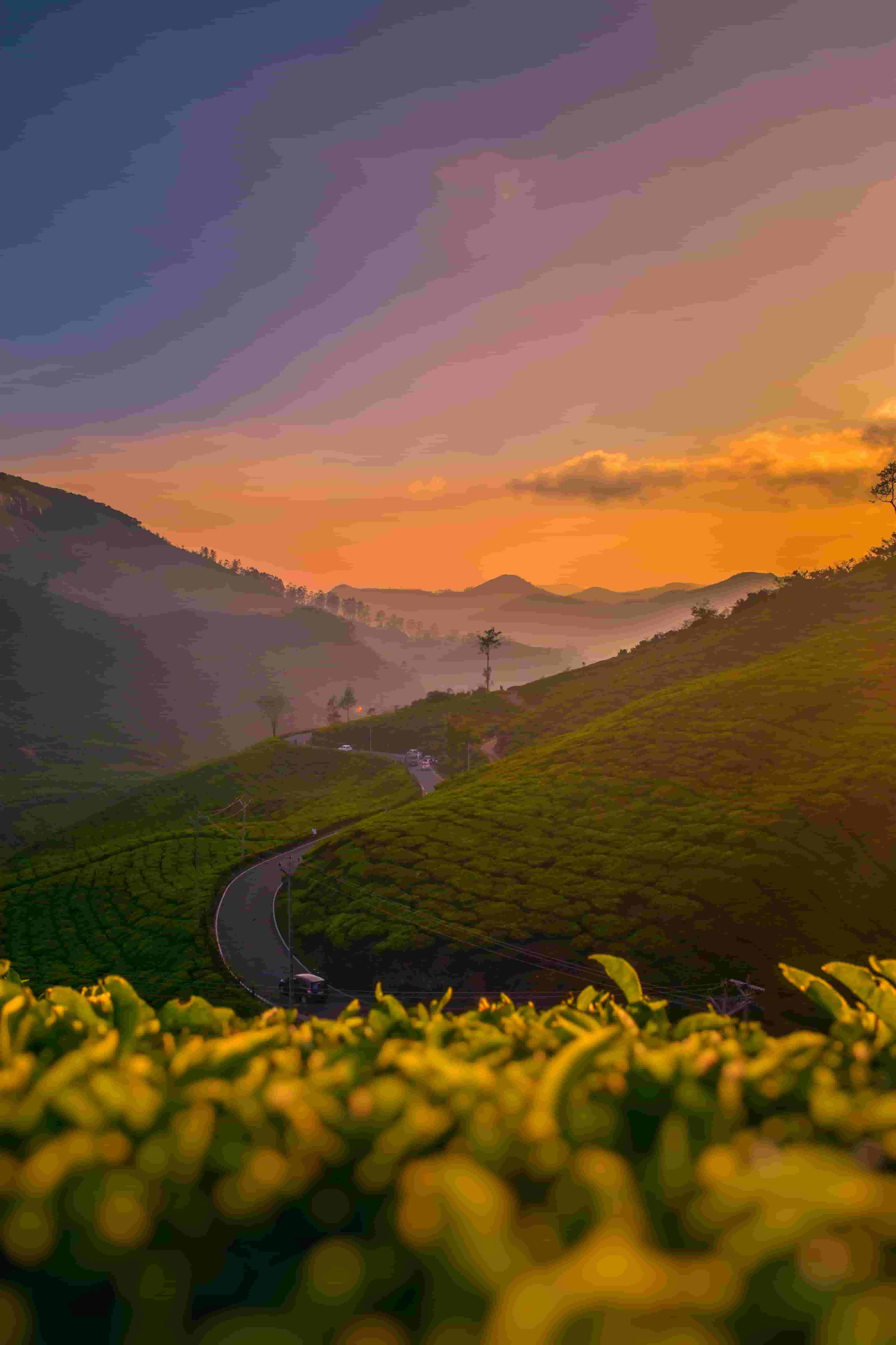 Malaysia Tour