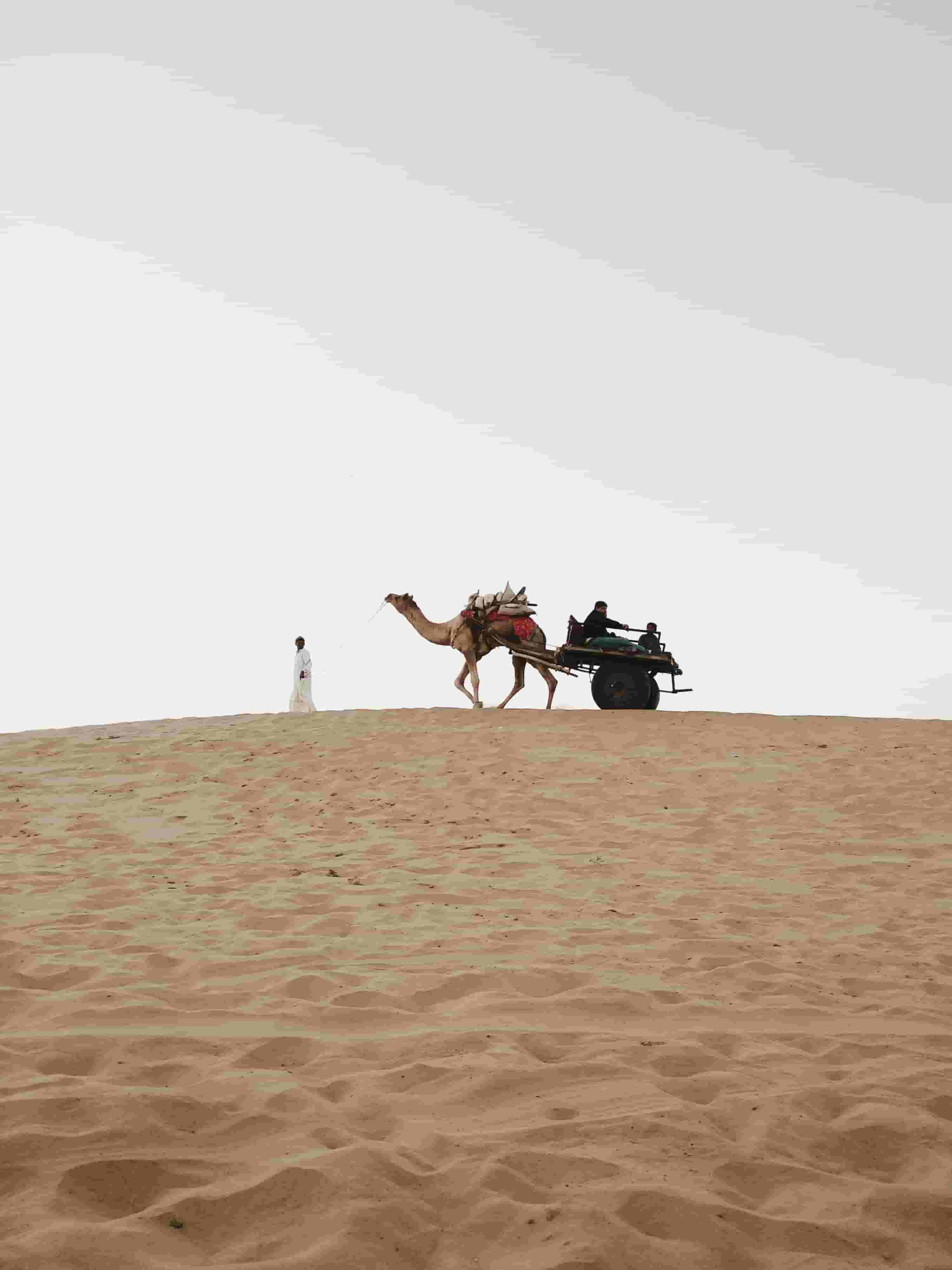 India Tours