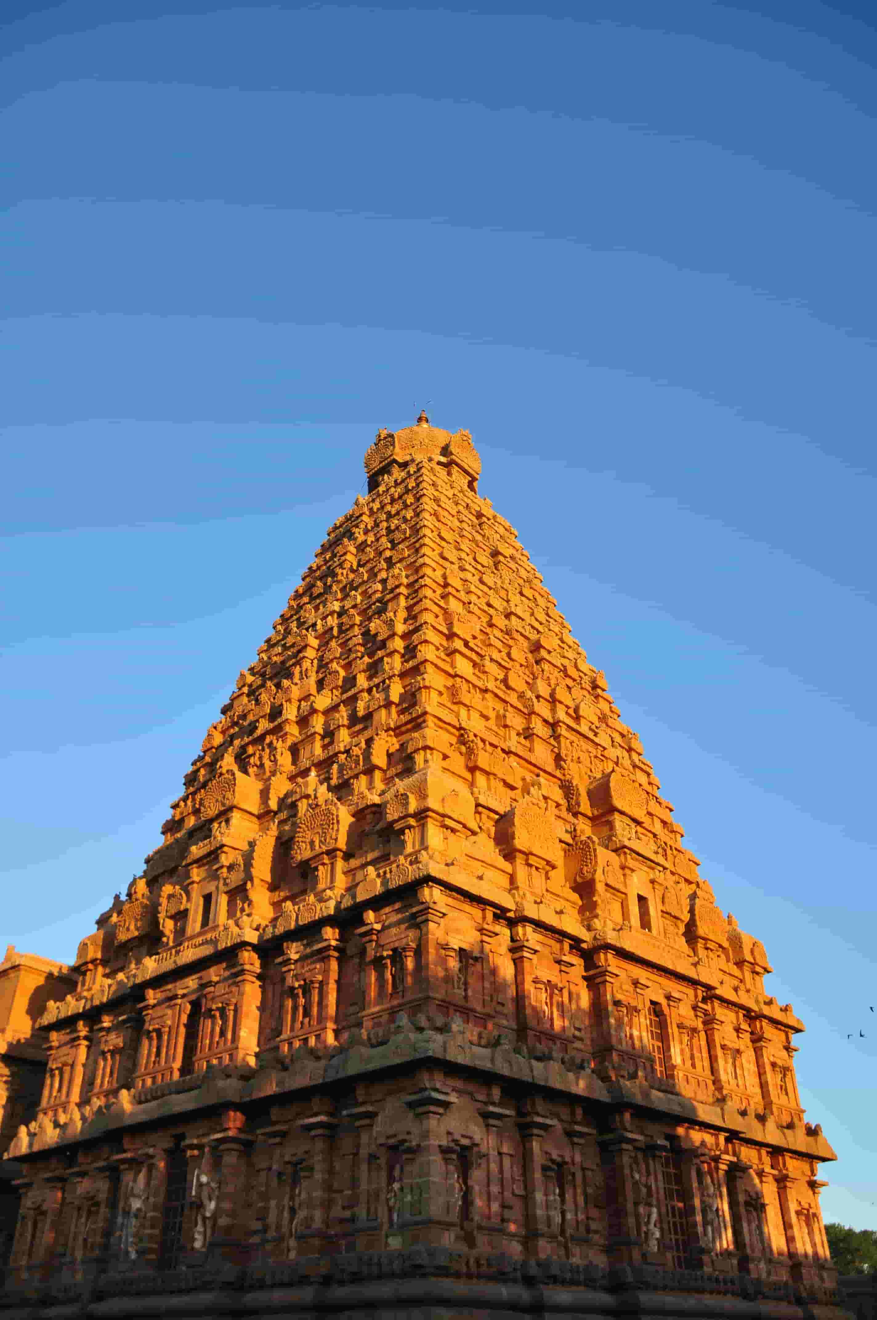 India Tours