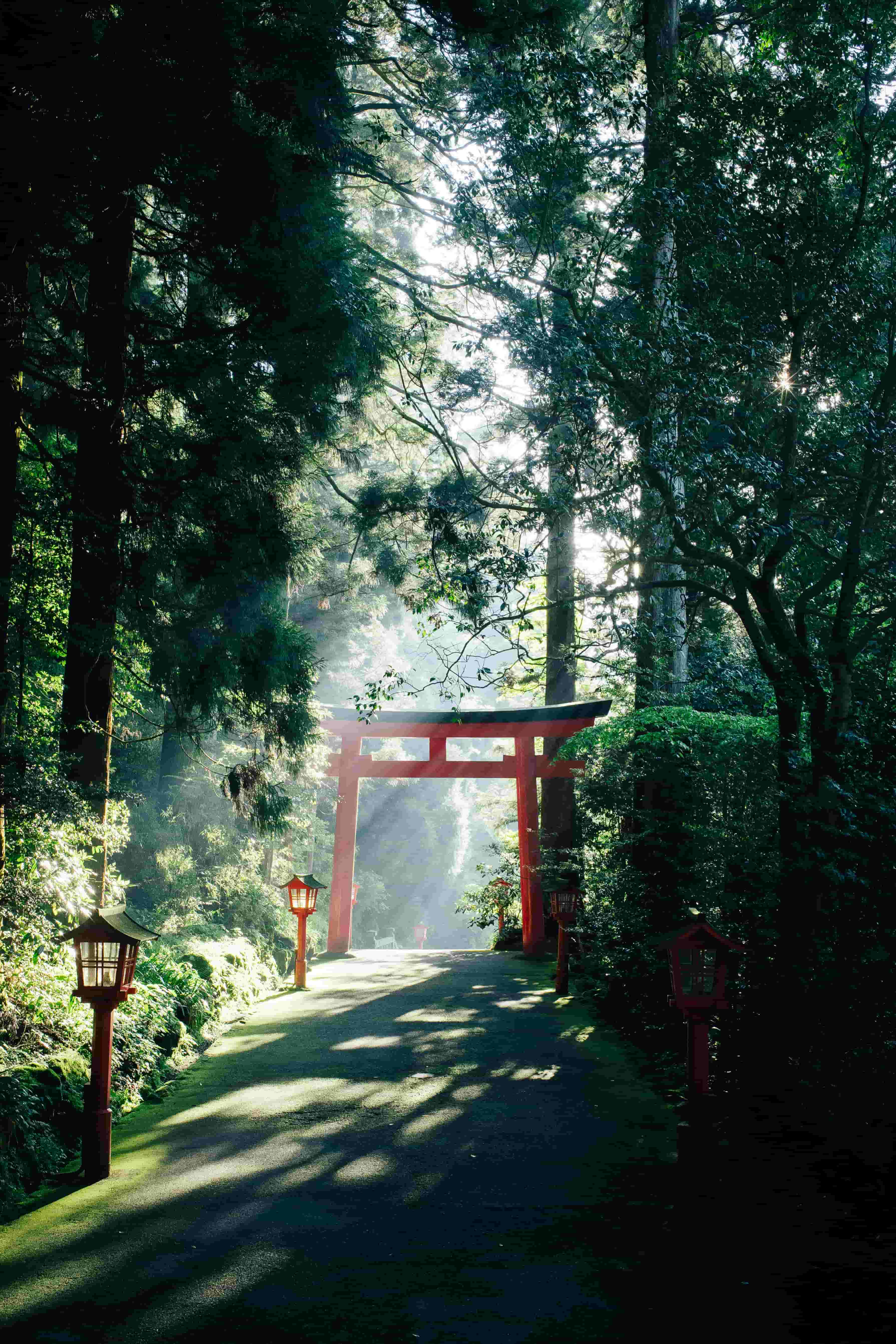 Best of Japan