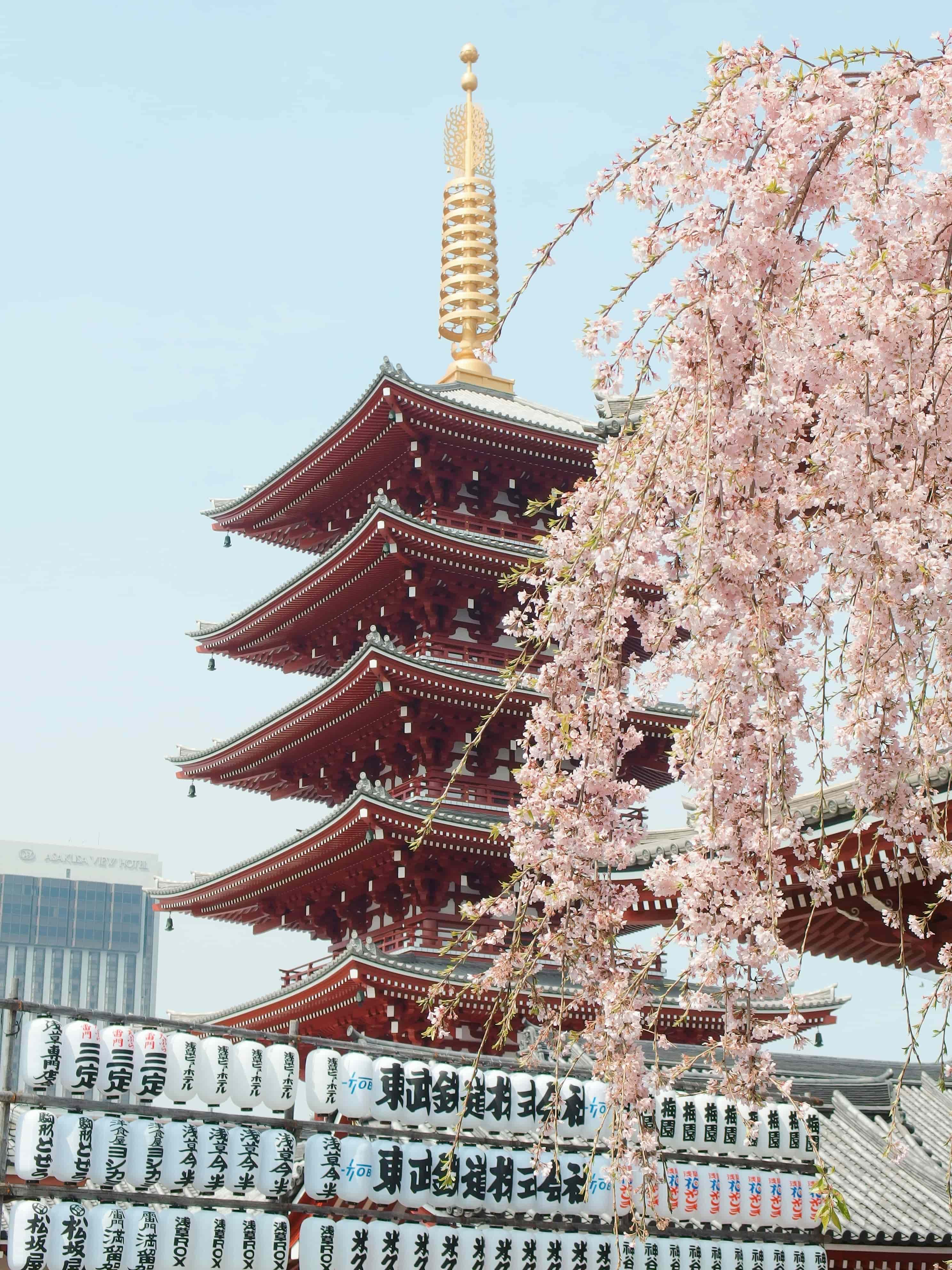 Marvels Japan
